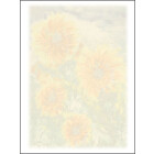 Motivpapier Sonnenblume A4